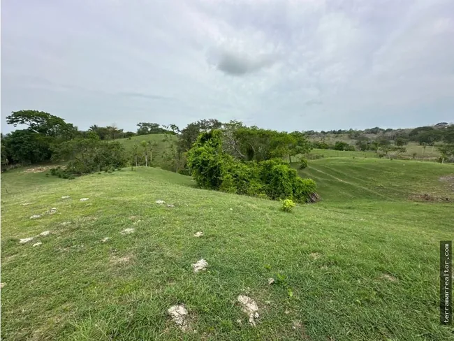 Paisaje y amplitud del terreno en Miradores del Viento.