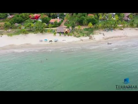 Vista del video de Punta Bolívar publicado por TerraMar
