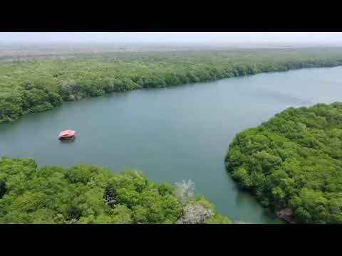 Vista del video de Ciénaga La Caimanera publicado por TerraMar